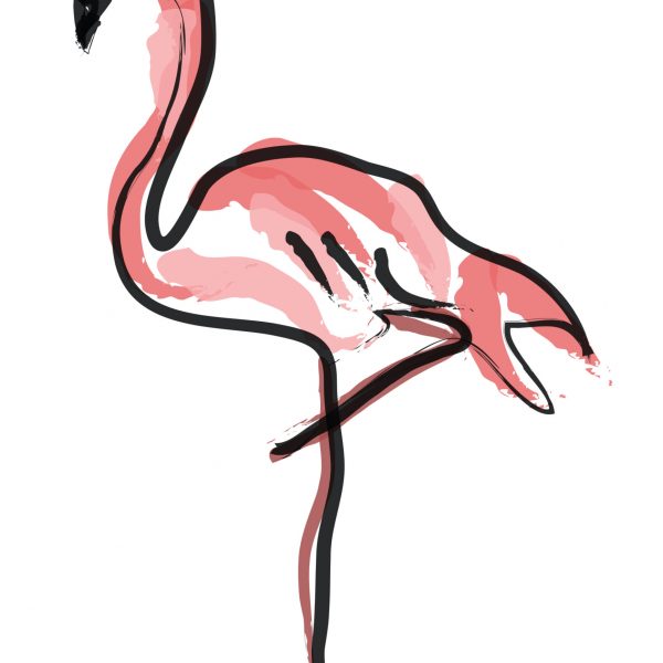 patrycja-lisnikowska-flamingo